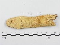 登錄號:F0007122藏品圖，第1張