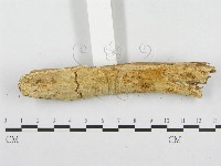 登錄號:F0007122藏品圖，第3張