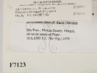 登錄號:F0007123藏品圖，第2張