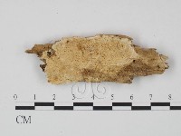 登錄號:F0007123藏品圖，第1張