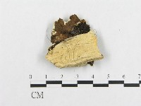 登錄號:F0007125藏品圖，第3張