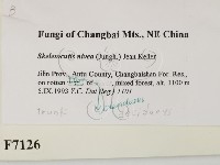 登錄號:F0007126藏品圖，第2張