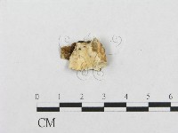 登錄號:F0007127藏品圖，第1張