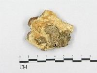 登錄號:F0007128藏品圖，第1張