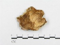 登錄號:F0007128藏品圖，第3張