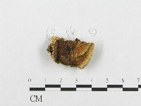 登錄號:F0007129藏品圖，第1張