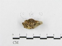 登錄號:F0007129藏品圖，第3張