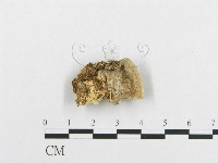 登錄號:F0007129藏品圖，第4張