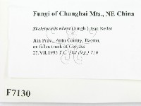 登錄號:F0007130藏品圖，第2張