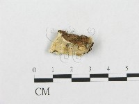 登錄號:F0007130藏品圖，第1張