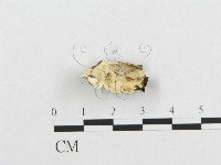 登錄號:F0007130藏品圖，第3張