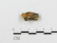 登錄號:F0007130藏品圖，第5張