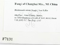 登錄號:F0007131藏品圖，第2張