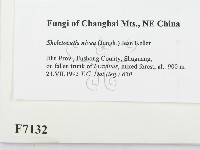 登錄號:F0007132藏品圖，第2張