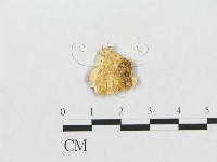 登錄號:F0007132藏品圖，第1張