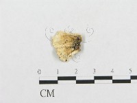 登錄號:F0007132藏品圖，第3張