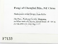 登錄號:F0007133藏品圖，第2張