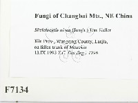 登錄號:F0007134藏品圖，第2張