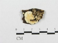 登錄號:F0007134藏品圖，第1張