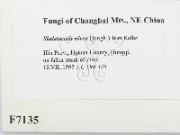 登錄號:F0007135藏品圖，第2張