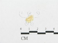 登錄號:F0007135藏品圖，第1張