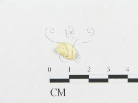 登錄號:F0007135藏品圖，第3張