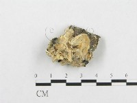 登錄號:F0007136藏品圖，第1張