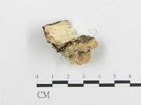 登錄號:F0007136藏品圖，第3張