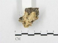 登錄號:F0007136藏品圖，第5張