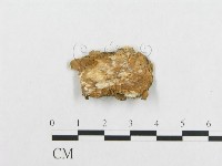 登錄號:F0007137藏品圖，第3張