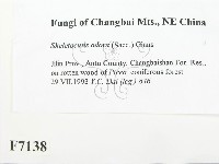 登錄號:F0007138藏品圖，第2張