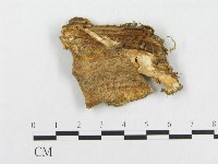 登錄號:F0007138藏品圖，第3張