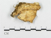 登錄號:F0007138藏品圖，第4張