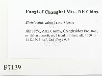 登錄號:F0007139藏品圖，第2張