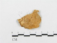 登錄號:F0007140藏品圖，第1張