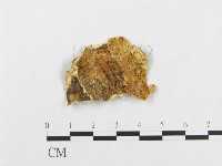 登錄號:F0007140藏品圖，第3張