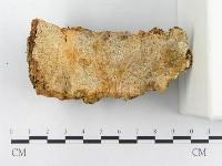 登錄號:F0007141藏品圖，第1張