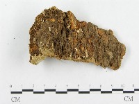 登錄號:F0007141藏品圖，第3張