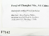 登錄號:F0007142藏品圖，第2張