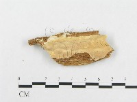 登錄號:F0007142藏品圖，第3張