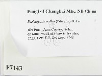 登錄號:F0007143藏品圖，第2張
