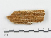 登錄號:F0007143藏品圖，第3張