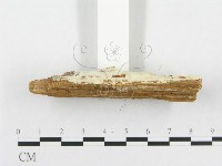 登錄號:F0007143藏品圖，第4張