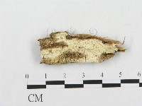 登錄號:F0007144藏品圖，第1張