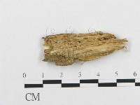 登錄號:F0007144藏品圖，第3張