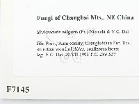 登錄號:F0007145藏品圖，第2張