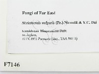 登錄號:F0007146藏品圖，第2張