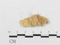 登錄號:F0007146藏品圖，第3張