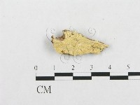 登錄號:F0007147藏品圖，第1張