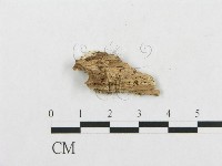 登錄號:F0007147藏品圖，第3張